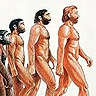 Evolucija človeka