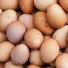 Oznake na jajcih, ki predstavljajo njihovo predelavo